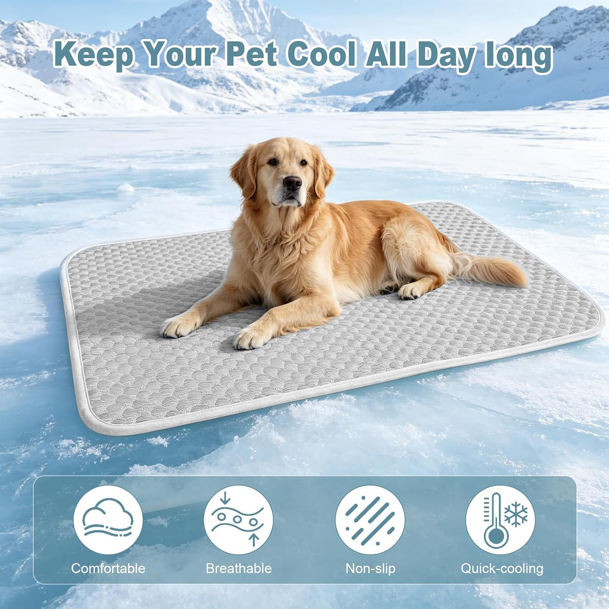 Dog Cooling Mat 20X26In